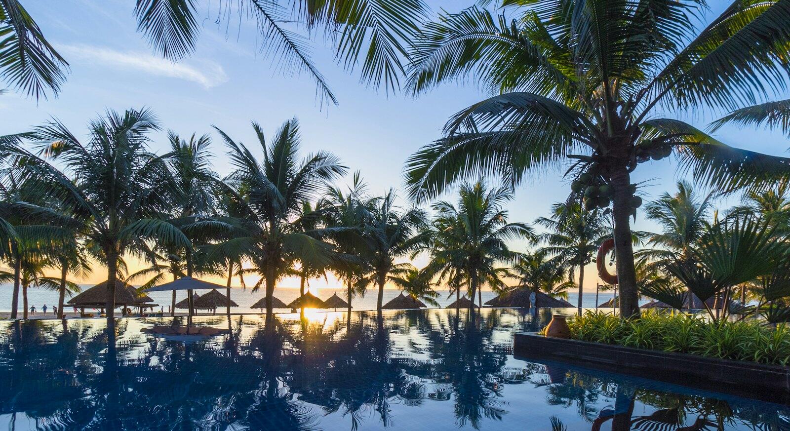 A tropical beach with palm trees — illustrative property style — illustrative style for Saigon Terrace Rooms