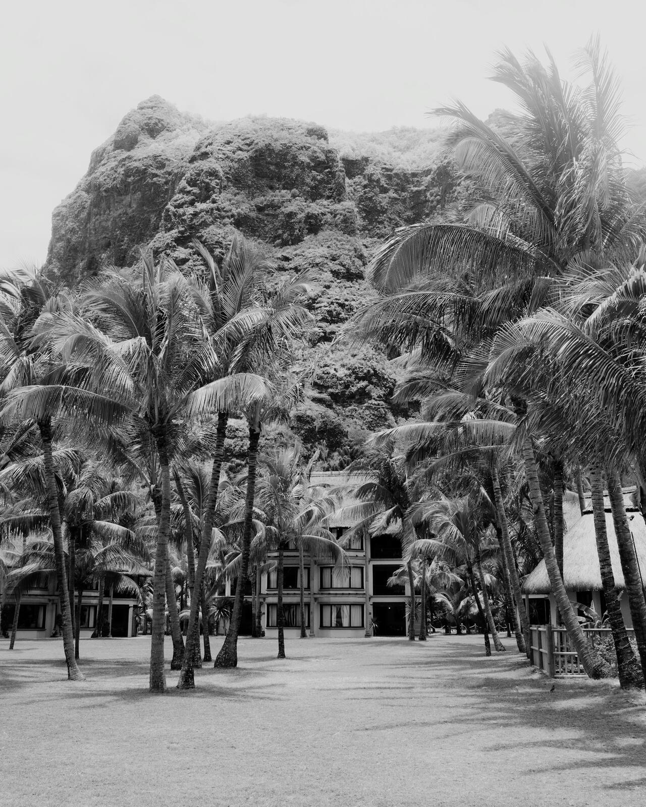 Palm trees in front of a rocky mountain and resort — illustrative property style — illustrative style for Lagoon Court