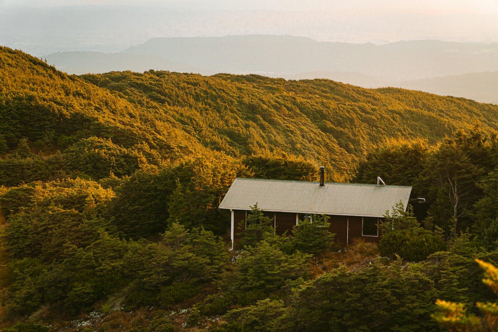 a small cabin nestled in the middle of a forest — illustrative property style — illustrative style for Wanaka Family House