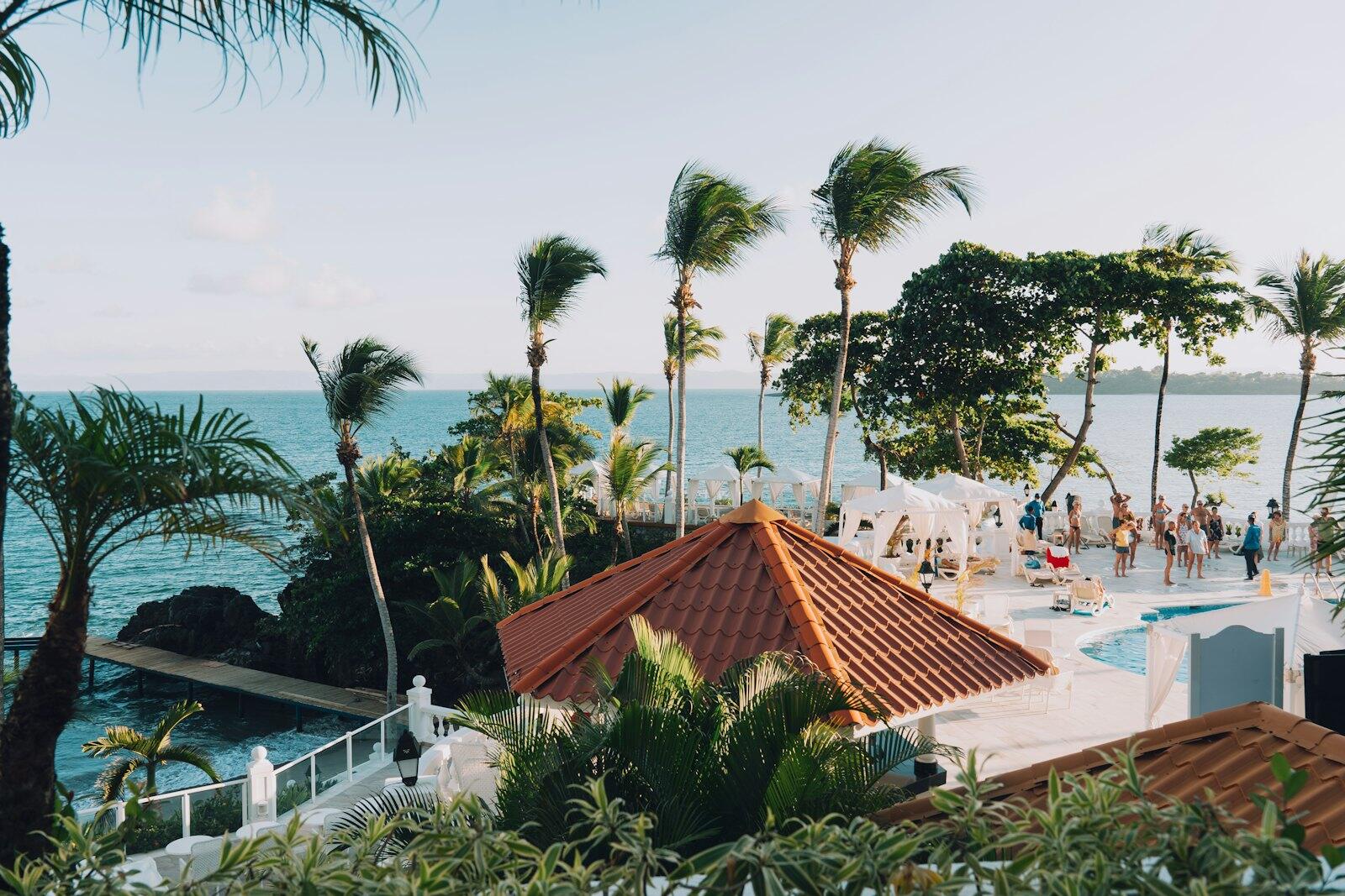 A view of a resort pool with palm trees — illustrative property style — illustrative style for Coral House
