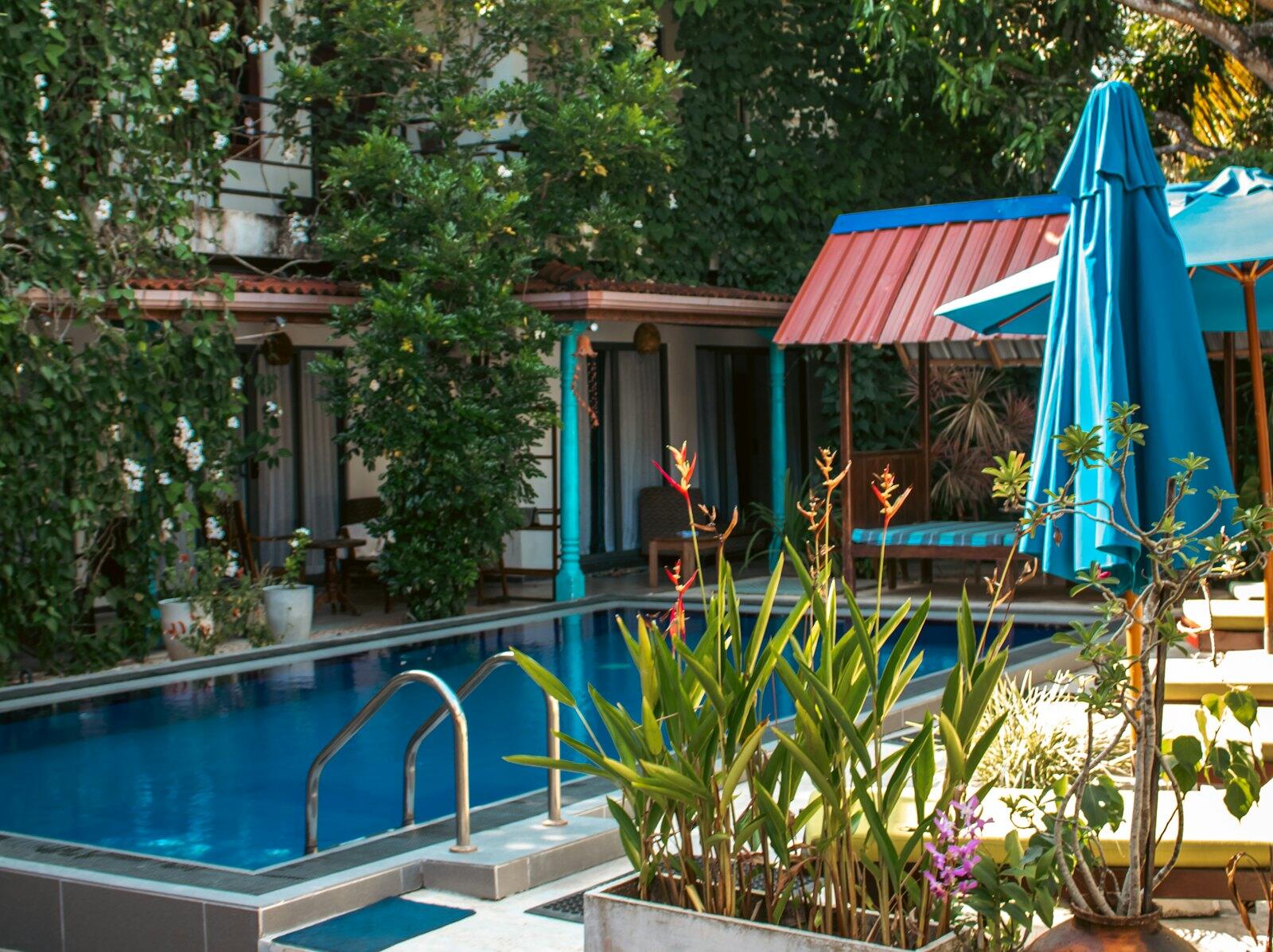 A swimming pool area with lounge chairs and umbrellas — illustrative property style — illustrative style for Sigiriya Garden Retreat
