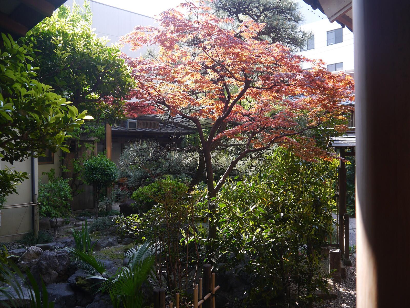 Illustrative accommodation photography for a fictional japan stay — illustrative style for Naoshima Art Courtyard