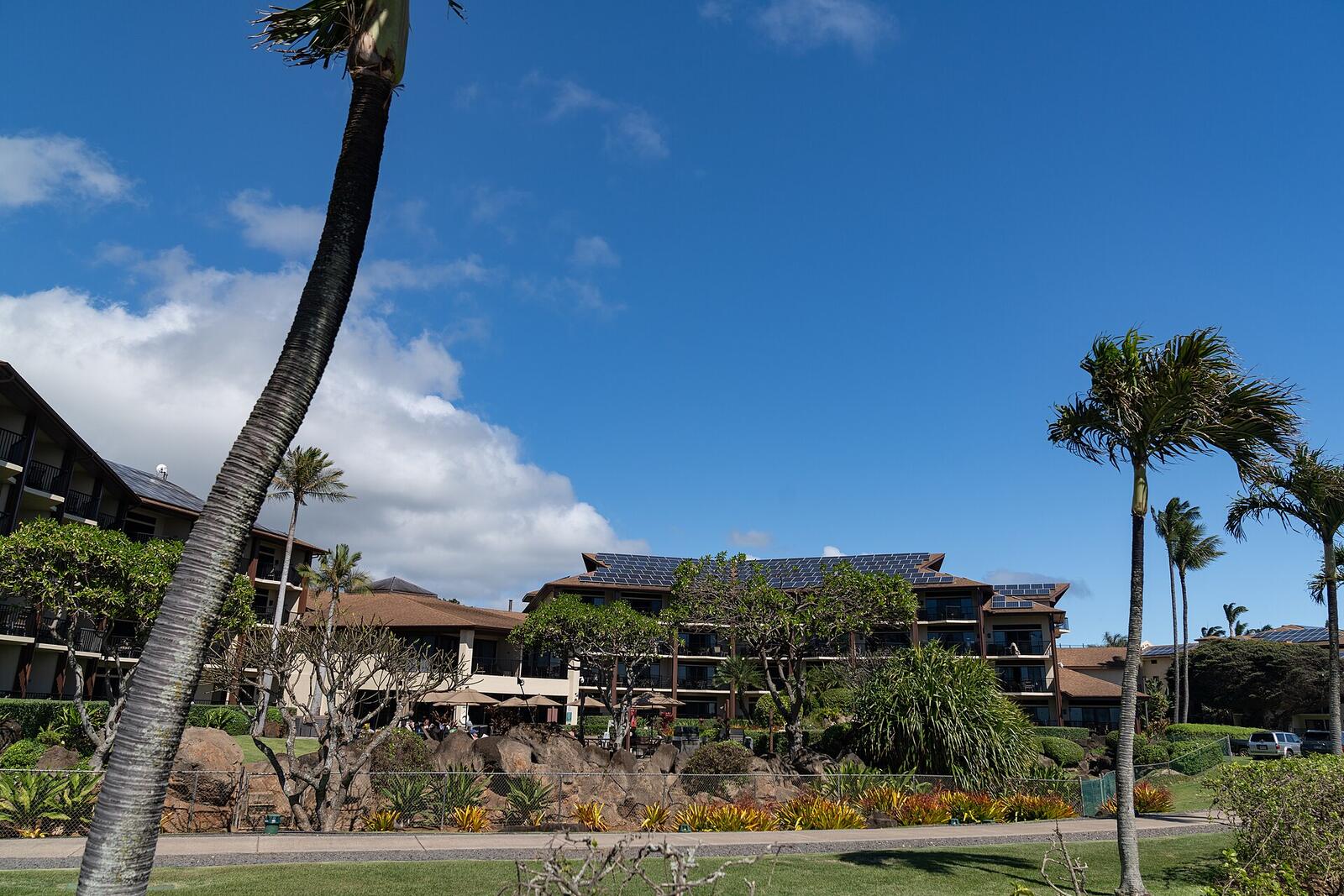 Illustrative accommodation photography for a fictional usa stay — illustrative style for Maui Coastal Villas