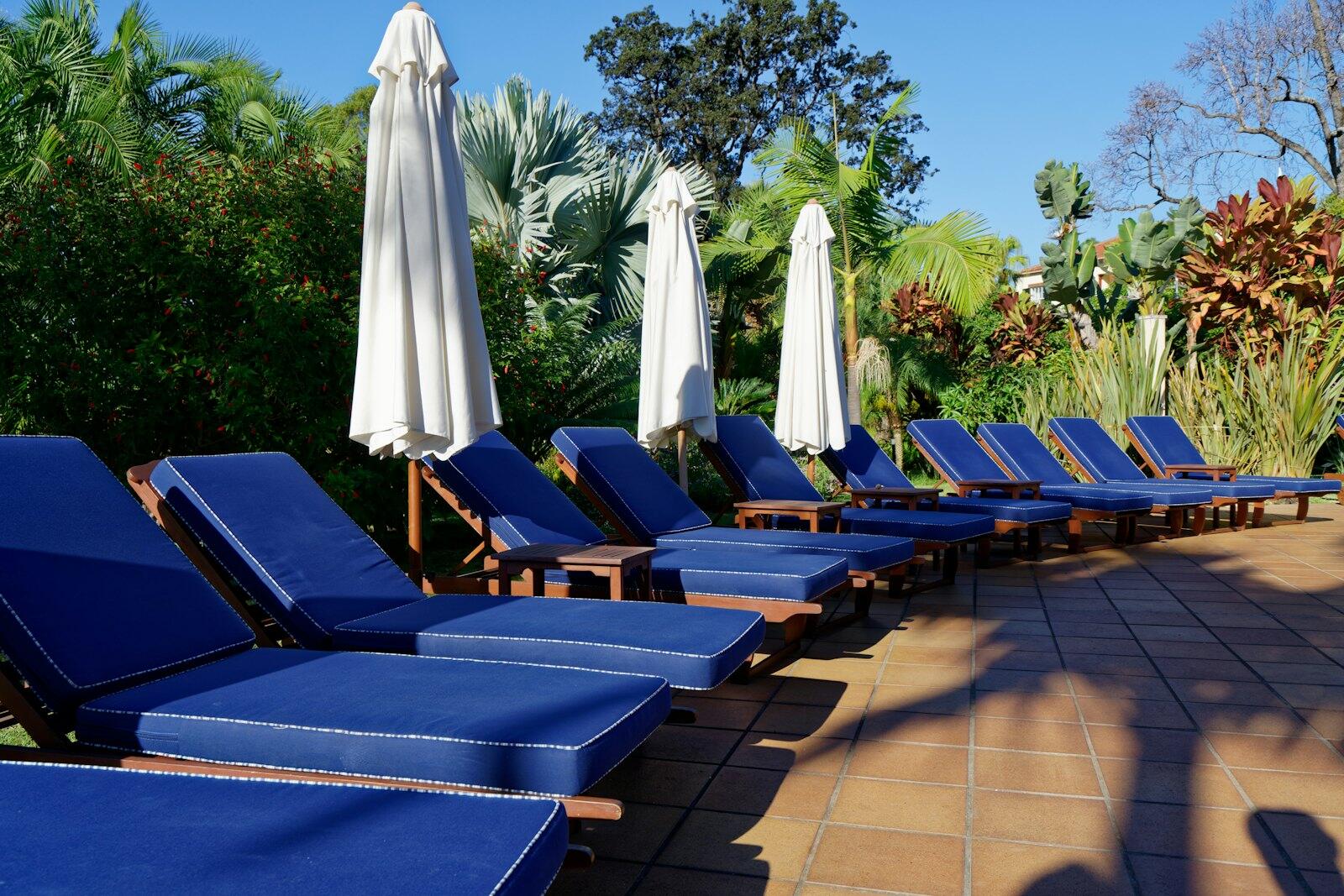 blue sun lounger lot — illustrative property style — illustrative style for Alentejo Family House