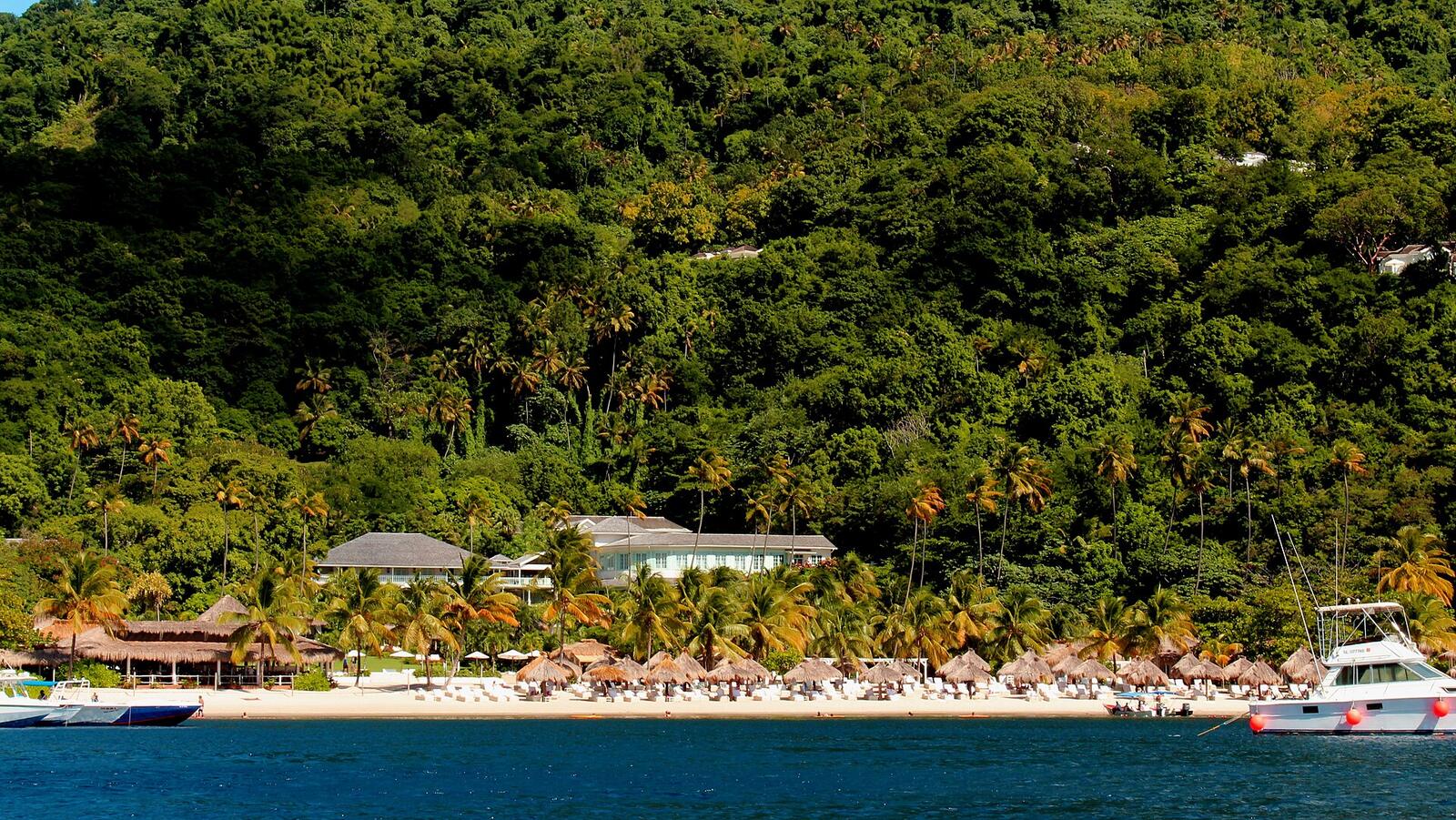 Illustrative accommodation photography for a fictional saint-lucia stay — illustrative style for Canopy Springs Lodge