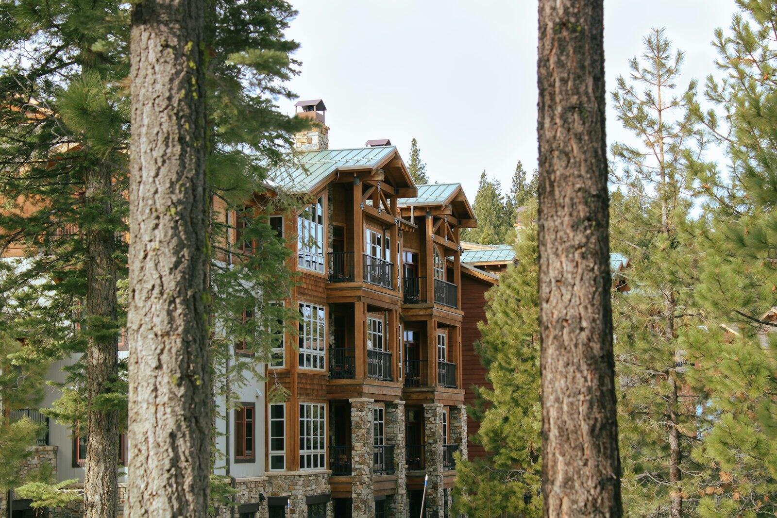 Mountain lodge among pine trees — illustrative property style — illustrative style for Jackson Pine Lodge