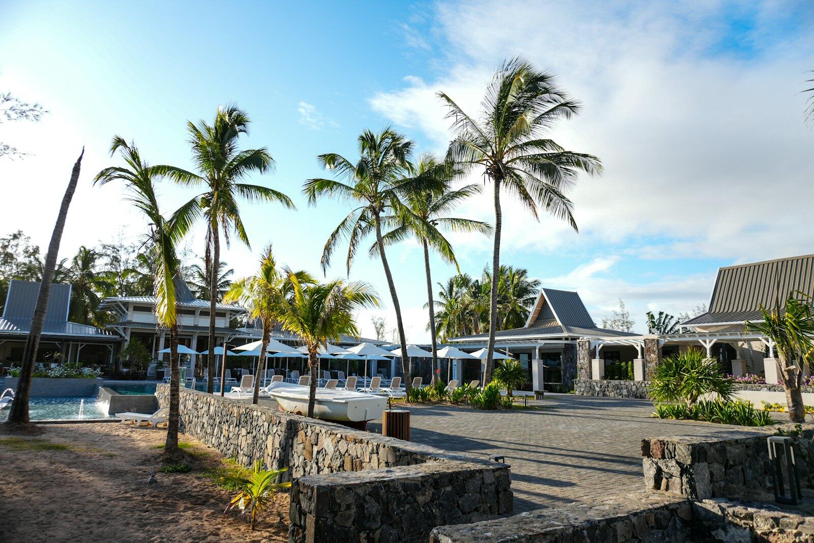 A resort with palm trees in the foreground — illustrative property style — illustrative style for Palmshade Villas