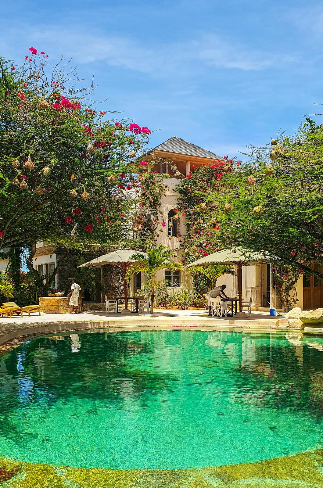 a pool surrounded by lush green trees next to a building — illustrative property style — illustrative style for Amboseli Plains House