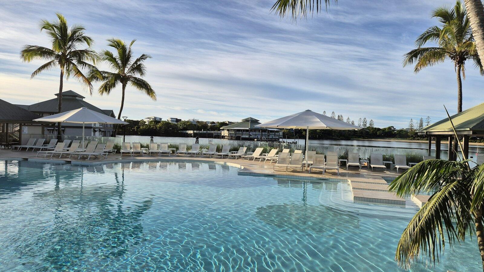 a large swimming pool surrounded by palm trees — illustrative property style — illustrative style for Barossa Orchard House