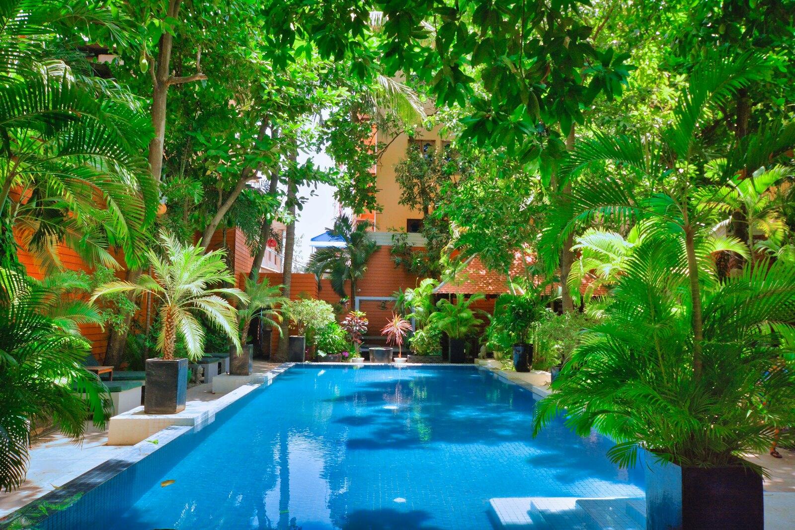A swimming pool surrounded by trees and plants — illustrative property style — illustrative style for Cardamom Canopy Lodge