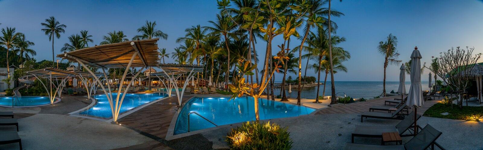 A resort with a swimming pool surrounded by palm trees — illustrative property style — illustrative style for Andaman Palm Villas