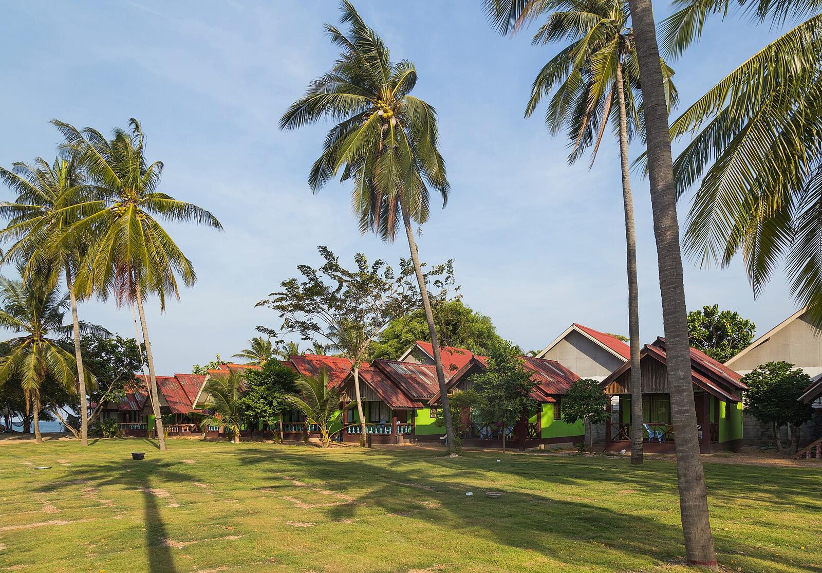 Illustrative accommodation photography for a fictional thailand stay — illustrative style for Khao Sok Canopy Lodge