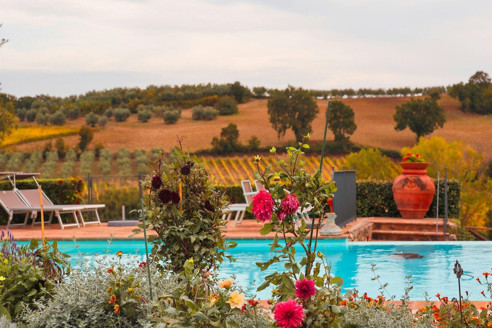 a pool surrounded by a lush green hillside — illustrative property style — illustrative style for Tuscan Cypress Retreat