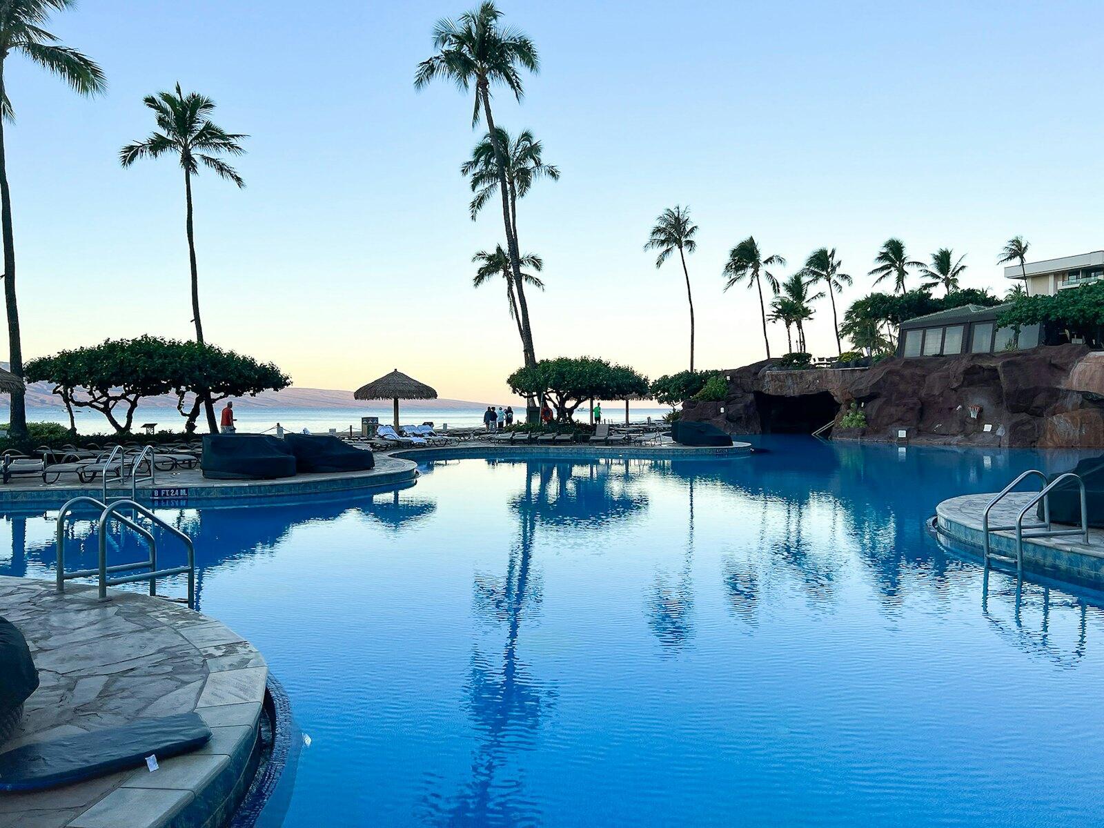 a large swimming pool surrounded by palm trees — illustrative property style — illustrative style for Monterey Coastal House