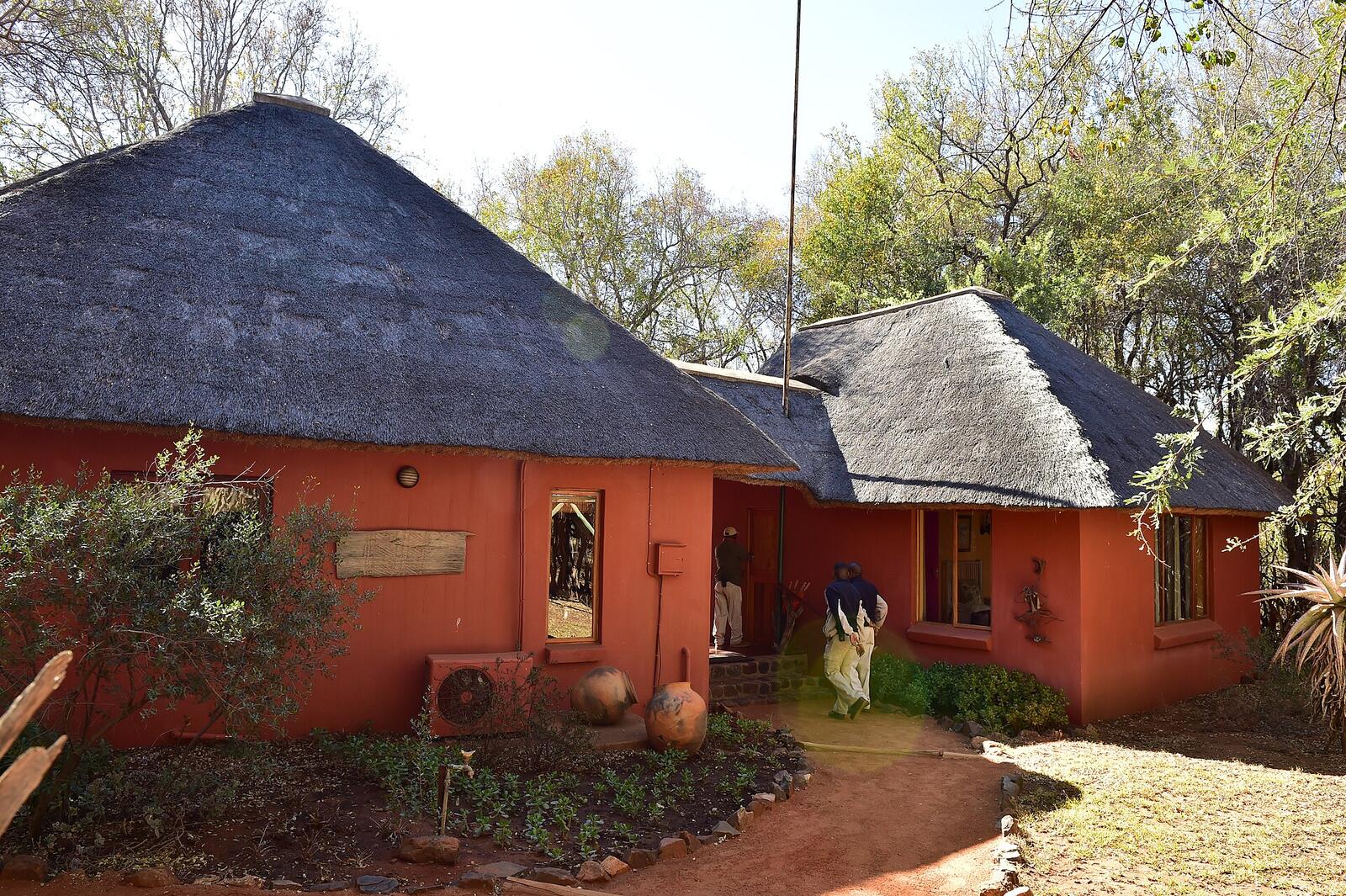 Illustrative accommodation photography for a fictional south-africa stay — illustrative style for Drakensberg Fern Lodge