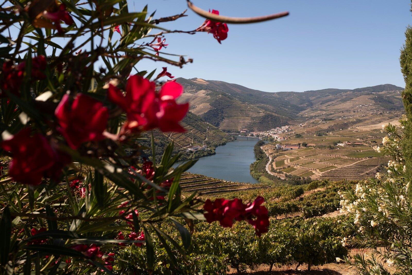 Hills and water in the Douro Valley, Portugal