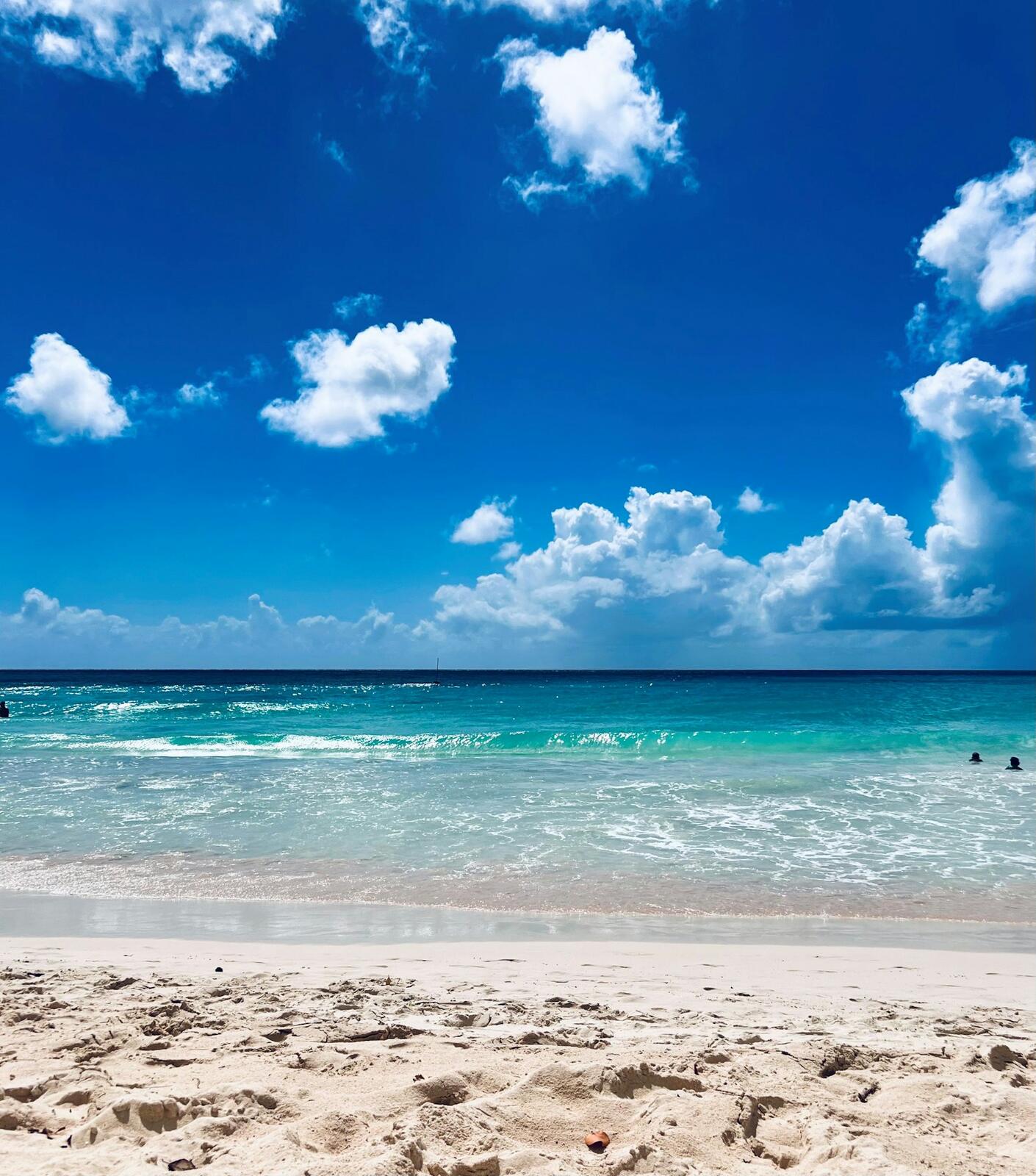 A sunlit tropical beach in Barbados