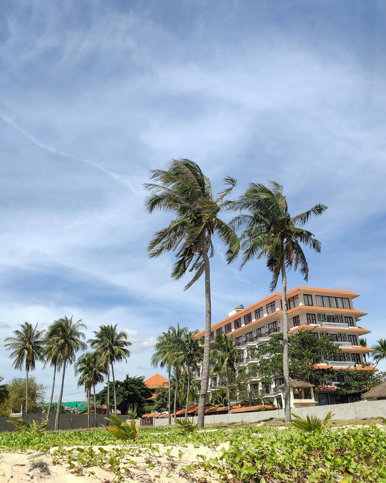 Palm trees in front of a hotel building — illustrative property style — illustrative style for Hanoi Courtyard House