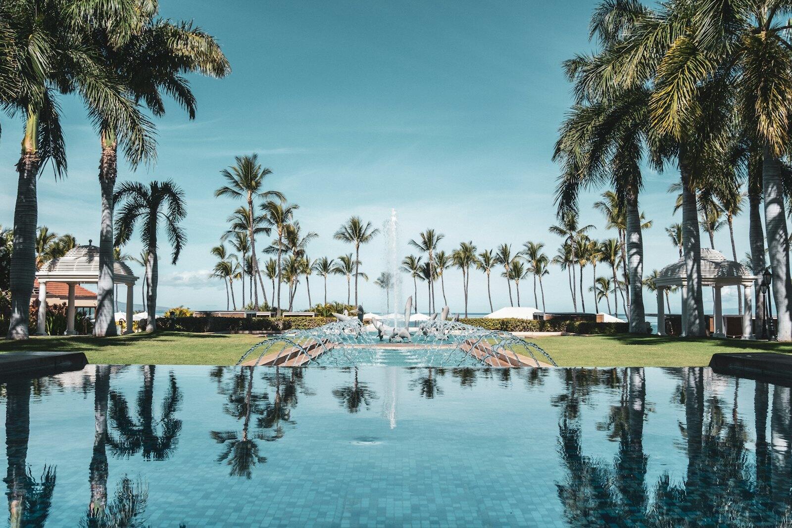 palm trees near swimming pool during daytime — illustrative property style — illustrative style for Palm Springs Family Villas