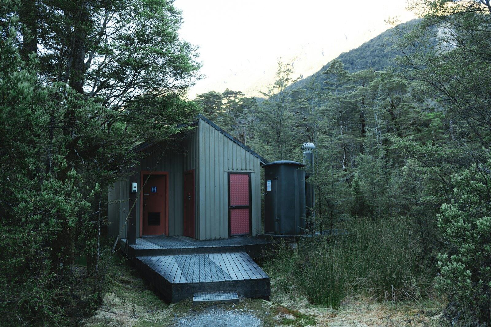 A cabin sits nestled in a dense forest — illustrative property style — illustrative style for Auckland Harbour House