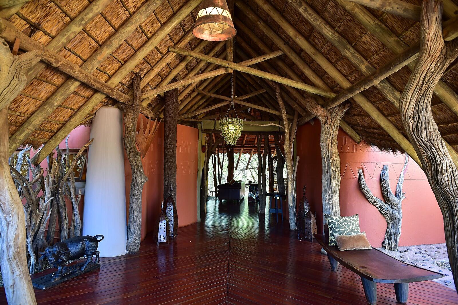 Illustrative accommodation photography for a fictional south-africa stay — illustrative style for Tsitsikamma Woodland House